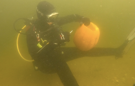 20241027-Underwater pumpkin.jpg